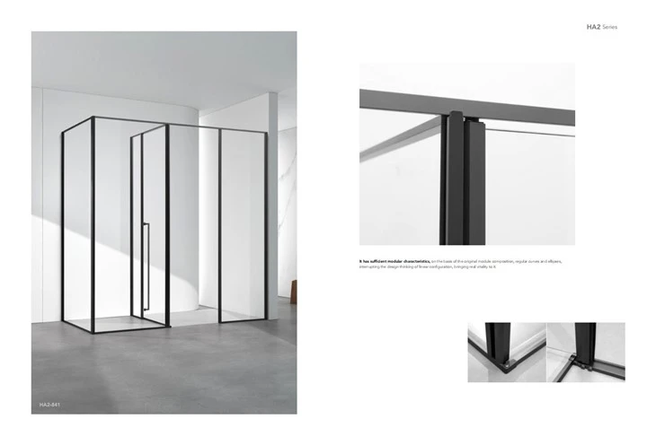 Stainless Steel With Gold Framed Shower Room
